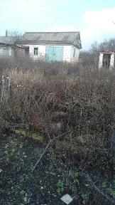 Продам будинок, село Старовірівка 1, Красноградський район