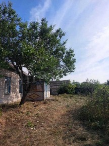 Продається будинок у с. Строкова під лісом