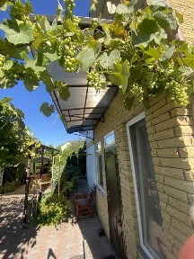 Продаж чудового будинку поряд з хвойним лісом