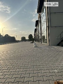 Здається комерційне приміщення на шосе Підволочиське, площа 350 кв. м • ID 33756805