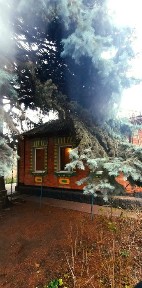 Казковий будиночок !