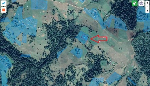 Будиночок в Карпатах, урочище Полянки з великою земельною ділянкою