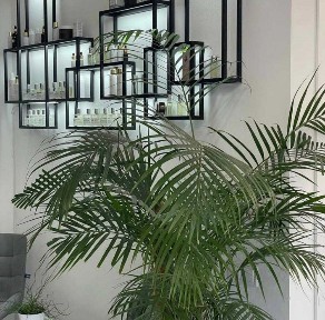 Салон краси, 68кв, вул. Небесної сотні/Левітана, новий ремонт+оснащення