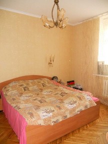 2х Центр, В. Великого, 5 минут от МОСТ-СИТИ,. можно с животными