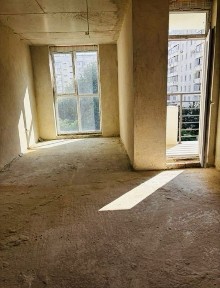 Чернівецька область, Чернівці