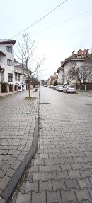 Чернівецька область, Чернівці