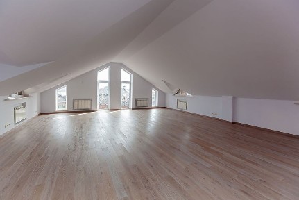 Київська область, Козин