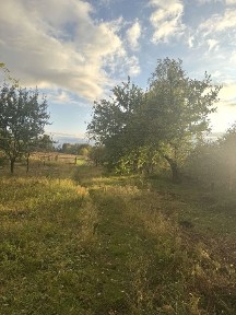 Продаж будинку Чернігівська область