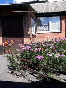 Полтавська область, Полтава