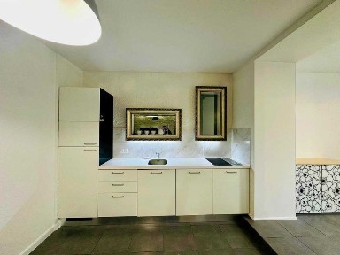 Запорізька область, Запоріжжя, Вознесенівський