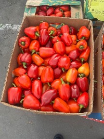 Сдам 1 кімнатну квартиру Позняки Харківська