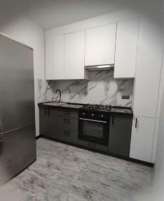 Київська область, Софіївська Борщагівка