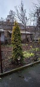 Оренда будинку р-н Боярки