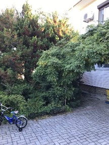 Продам двоповерховий будинок з 5 кімнат, житлова площа - 93 м. кв. та