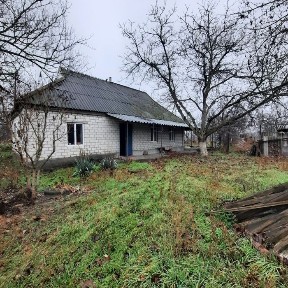 Дом 60 кв. в Елизаветовке ул. Затишна