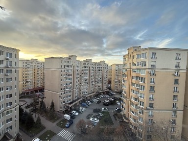 Київська область, Софіївська Борщагівка