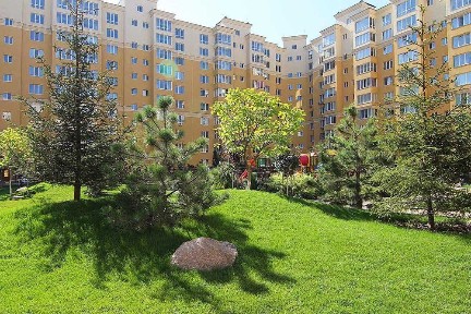 Київська область, Софіївська Борщагівка