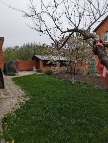 Тихий, спокійний район. Зелена зона. Продаж будинку.