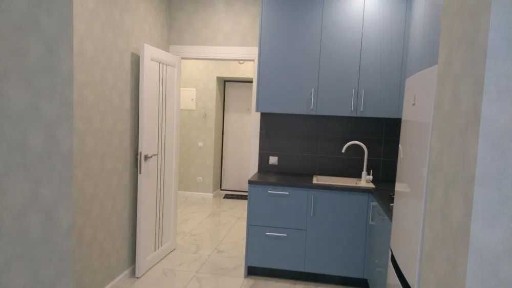 Київська область, Софіївська Борщагівка