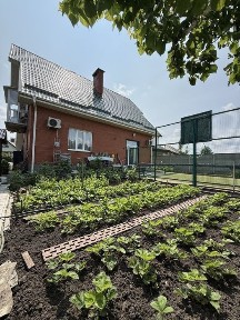 Київська область, Васильків