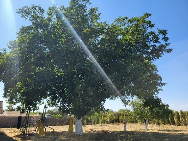 Будинок мрії: ідеальний для сім'ї з дітьми.