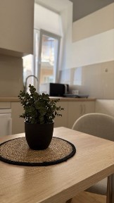 Оренда 1-кімн. Квартири в ближньому центрі вул. Степана Бандери