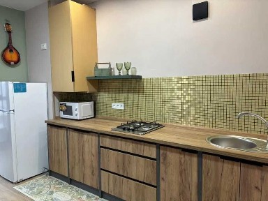 Київська область, Софіївська Борщагівка