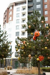 Київська область, Ірпінь