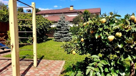 Здається будинок з генератором, с. <a href='/newbuilding/7539/view/zk-hotiv'>Хотів</a>