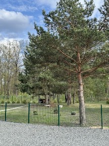 Продаж сучасного будинку в неймовірно гарному місці.