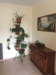 Київська область, Київ, Подільський