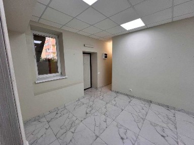 Одеська область, Ліски