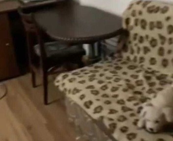 Сдам 3-х ком. Привоз, ЖД Вокзал, Центр