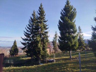 Котедж, будинок в Карпатах, 10 сотих землі, ліс, краєвиди