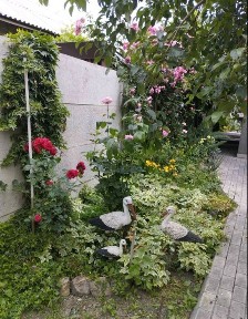 Здається невеликий будинок Олександрівський район можна військовим