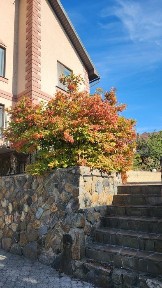 Продажа восхительного, большого дома: 311кв. м.В живописном месте г. Днепр