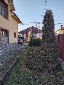 Продам будинок Агрономічне