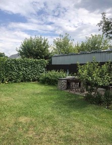 Здам будинок Нові Петрівці