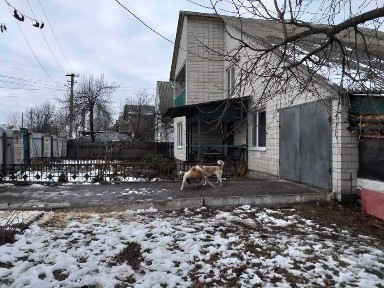 БЕЗ КОМІСІЇ, будинок 182м2 з ремонтом на ділянці 21 сотка, с. Гребінки