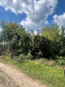 Чапаївка. Віта-Литовська. Метро Видубичі -10 хв.