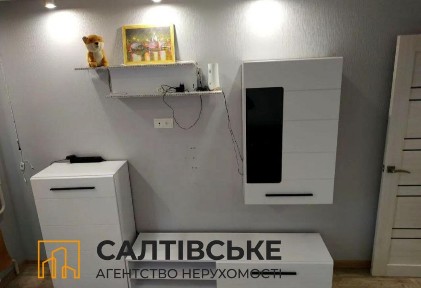 Харківська область, Харків, Салтівський