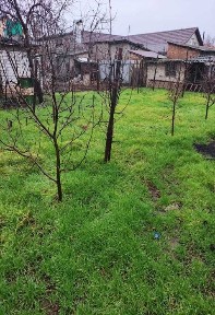 tir-31. Будинок у 