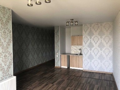 Київська область, Київ, Голосіївський