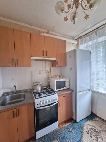 Дніпропетровська область, Дніпро, Центральний