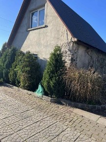 Оренда бкдинку в с. Балаклея