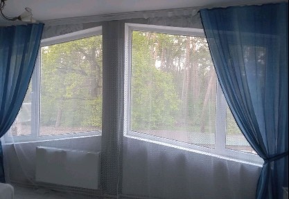 Житомирська область, Житомир, Максютова