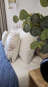 Одеська область, Одеса, Приморський