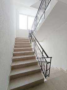 Львівська область, Львів, Шевченківський