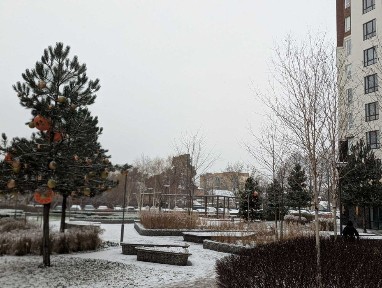 Київська область, Ірпінь