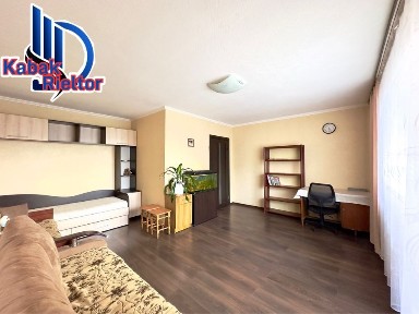 Аренда. Просторная 1к квартира, красный камень. Днепр